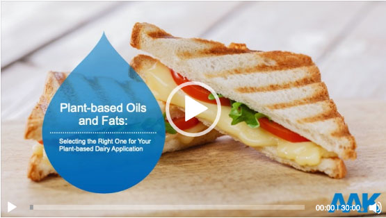 webinar video